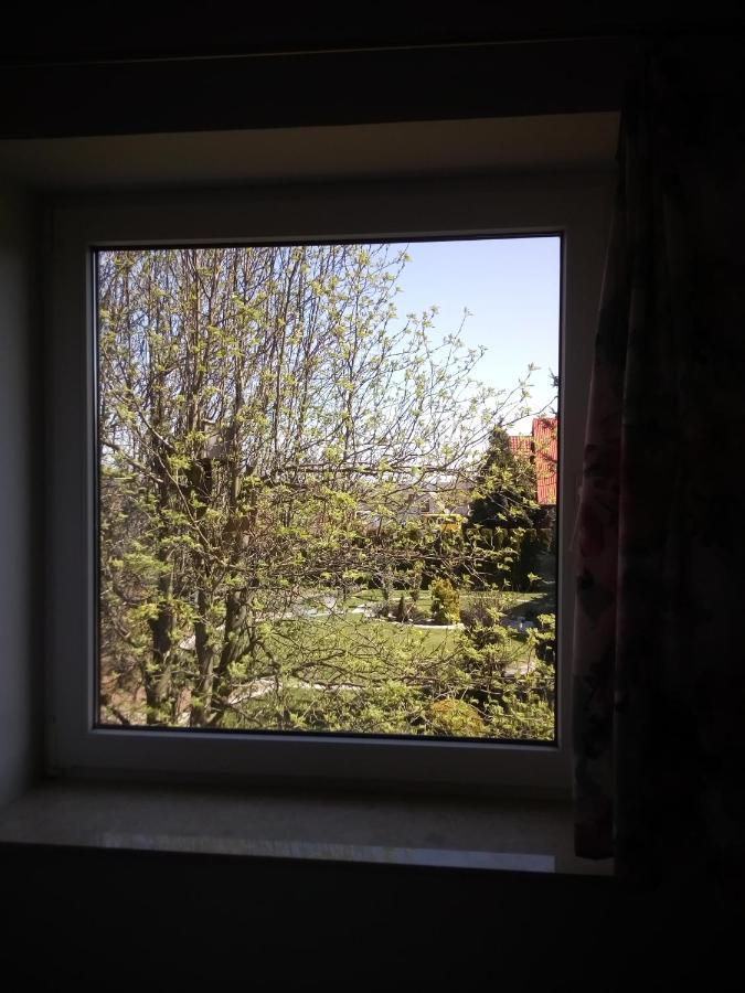 Apartamenty I Pokoje Pluszak Sandomir Extérieur photo