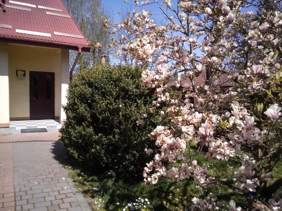 Apartamenty I Pokoje Pluszak Sandomir Extérieur photo